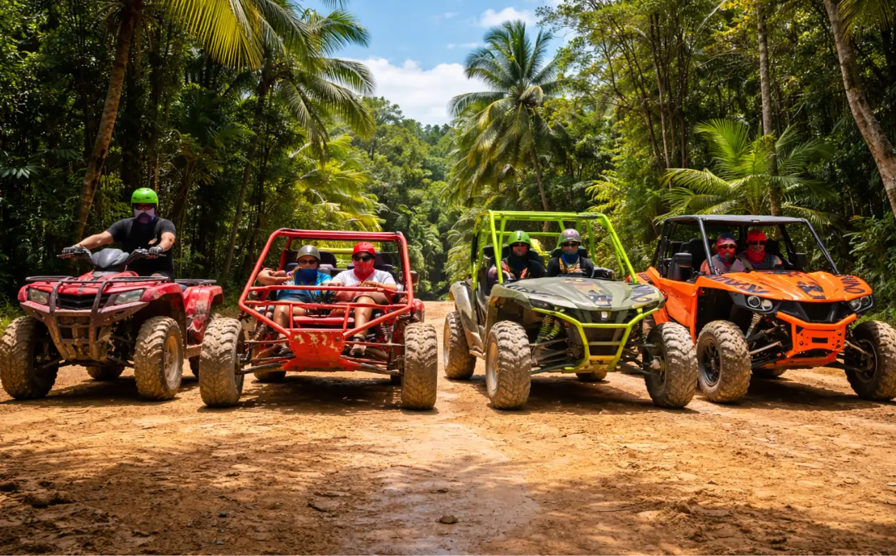 atv vs buggy vs polaris vs utv